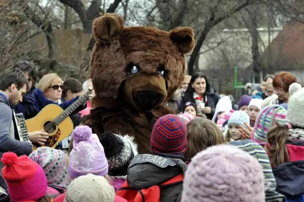 Bear festival and kids