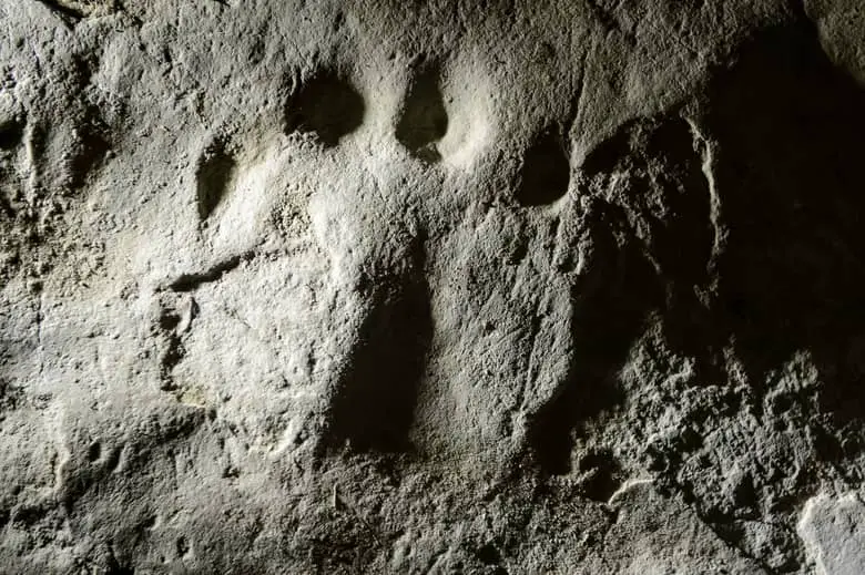 fossilized foot print