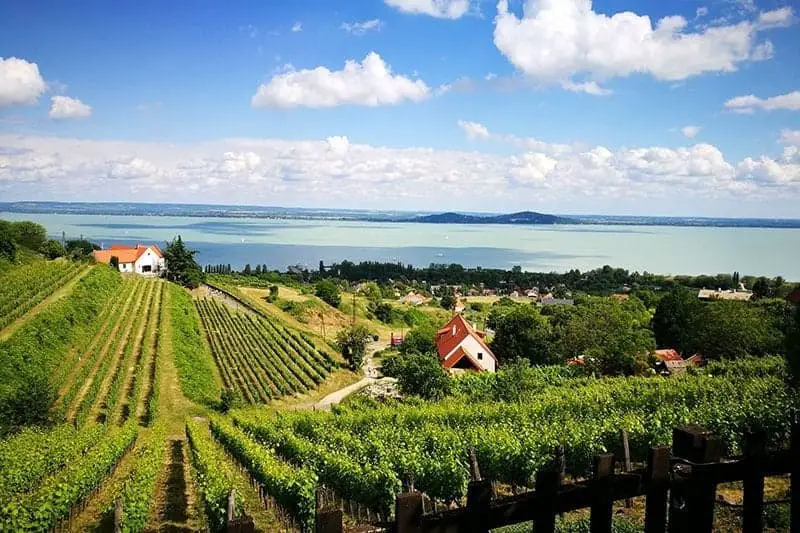 The Wine Region of Badacsony