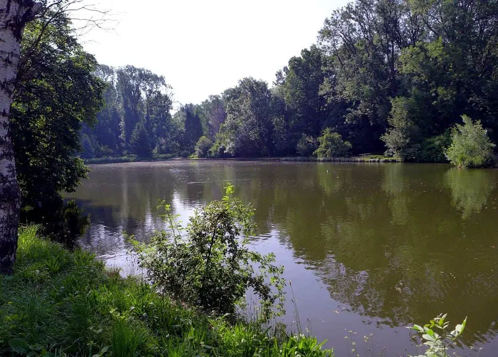 The Arboretum of Zirc