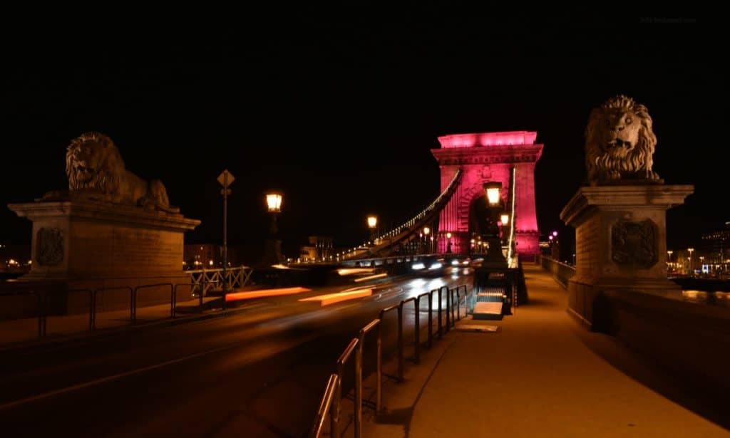 Pink Chain Bridge January 30-2020