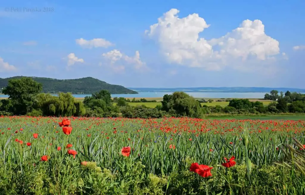 Örvényes the most secluded settlement on Lake Balaton