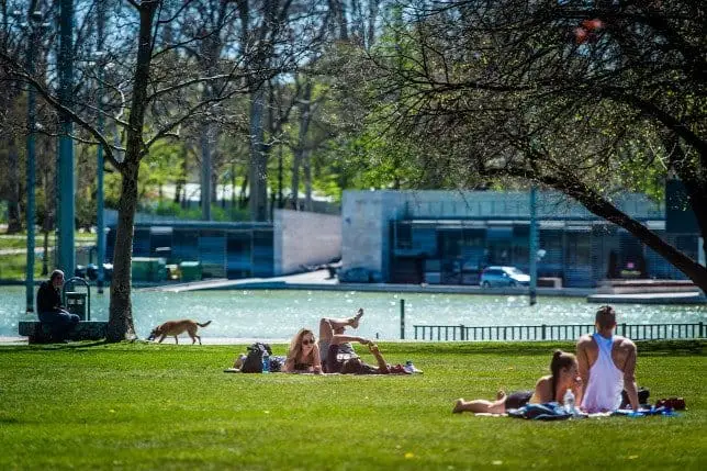 Sunbathing in the City Park