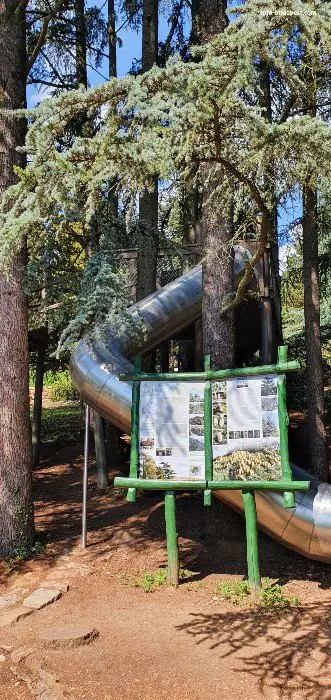 Metal Slide in Folly Arboretum